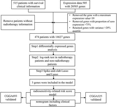 Development and Validation of a Radiosensitivity Prediction Model for Lower Grade Glioma Based on Spike-and-Slab Lasso